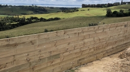 RetainingWall_NorthAuckland